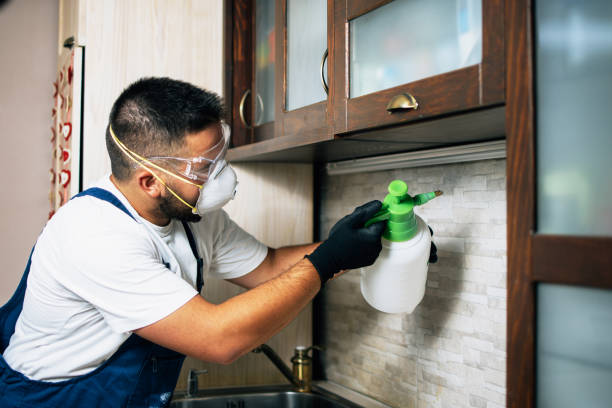 Professional Pest Control in Algona, IA