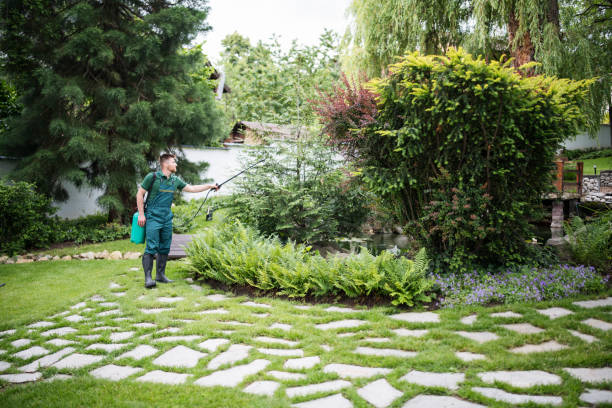 Best Best Pest Control Companies  in Algona, IA