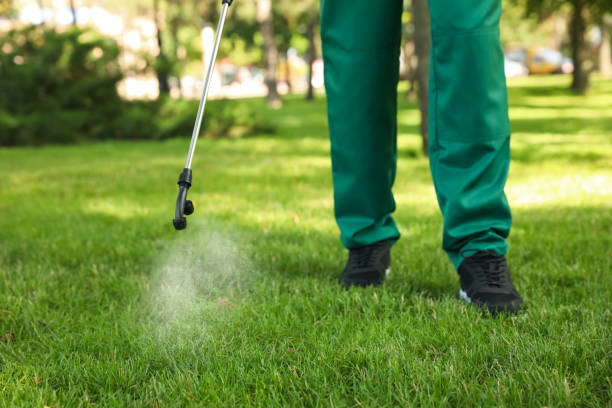 Best Local Pest Control Services  in Algona, IA