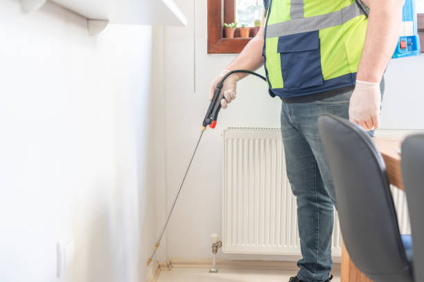 Best Mosquito Control Services  in Algona, IA