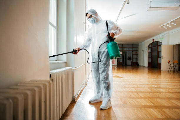 Best Termite Control Services  in Algona, IA