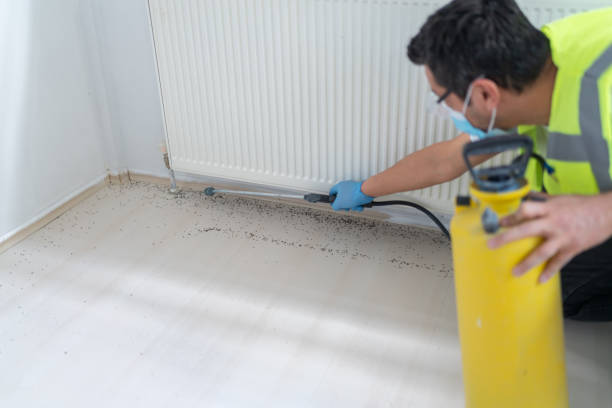 Best Pest Inspection Near Me  in Algona, IA