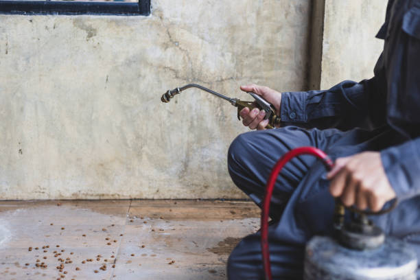 Best Residential Pest Control  in Algona, IA