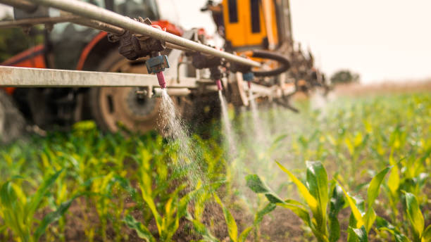Best Pest Removal Services  in Algona, IA